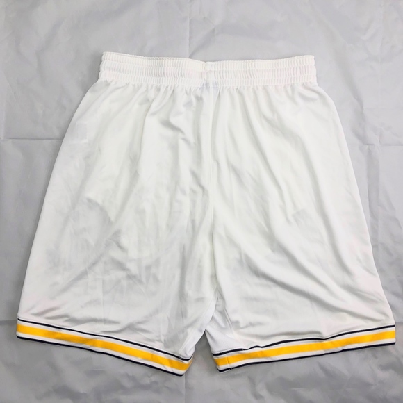 jordan michigan shorts